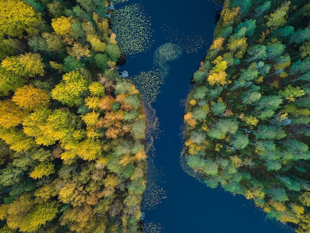 Aerial view of a narrow river or stream flowing through a dense forest with autumn-colored trees, including shades of green, yellow, and orange.