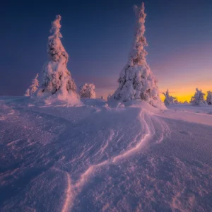 Twilight Passage