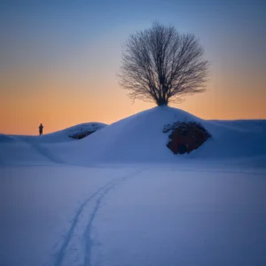 Lone Wonderer