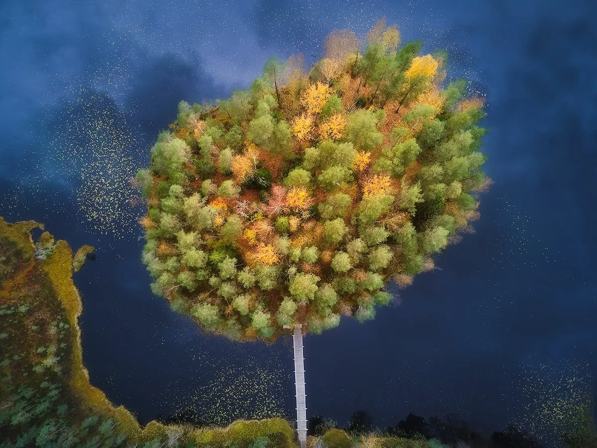 Aerial view of a small forested island with autumn foliage surrounded by a lake.