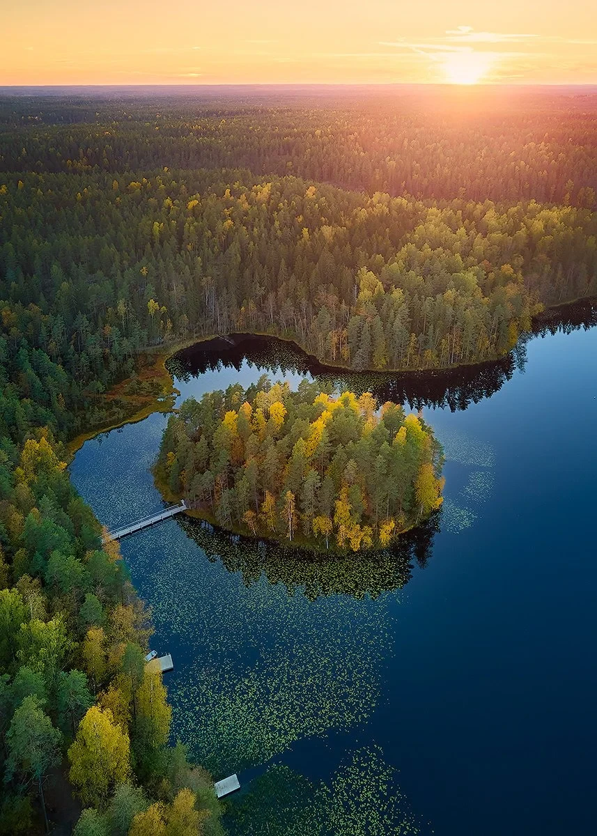 Aerial view of a forested lake with a small island, surrounded by dense trees, under a sunset sky.